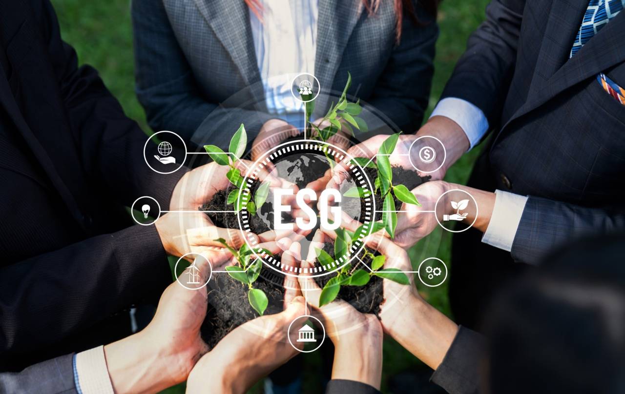 Imagem para ilustrar texto de blog sobre treinamento em esg